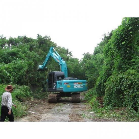 รับเหมารื้อถอนป่าต้นไม้