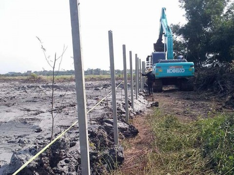 รับเคลียร์ริ่งต้นไม้